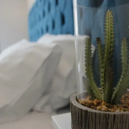 Appartement Augusta Street 213 - 2 Esq *